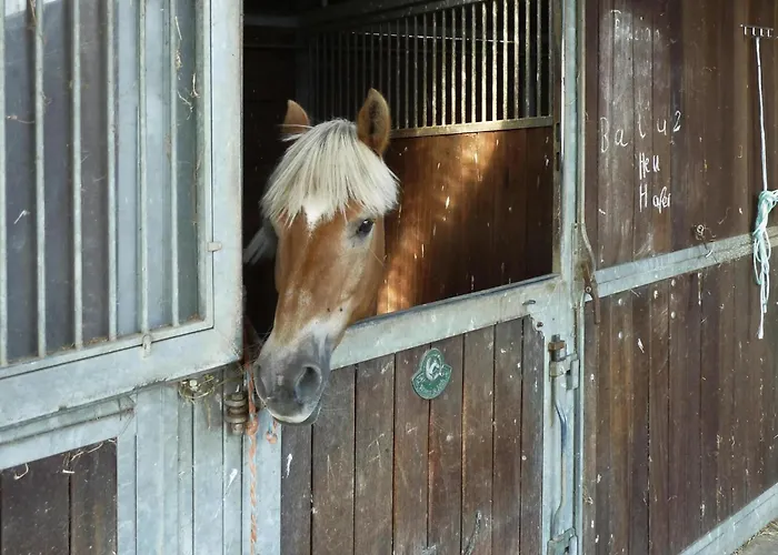 Prázdninový dům In Mit Terrasse